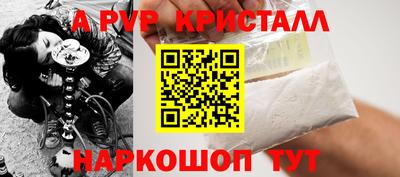 индика Сланцы