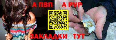 индика Сланцы