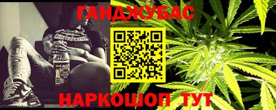 индика Сланцы