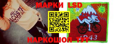 шишки Славгород