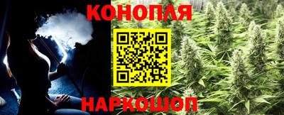 индика Сланцы
