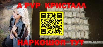 индика Сланцы