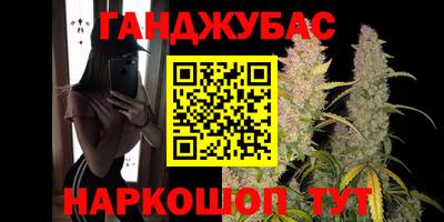 шишки Славгород