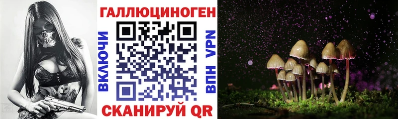 kraken ССЫЛКА  Дальнегорск  Галлюциногенные грибы ЛСД 