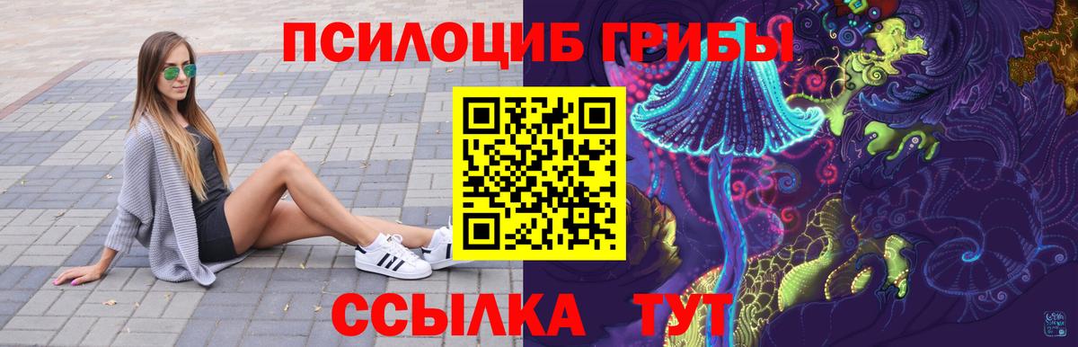 Галлюциногенные грибы ЛСД Дальнегорск